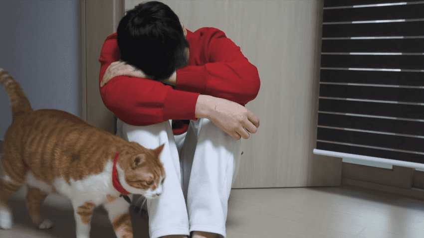 고양이한테 슬픈척을 해보았따