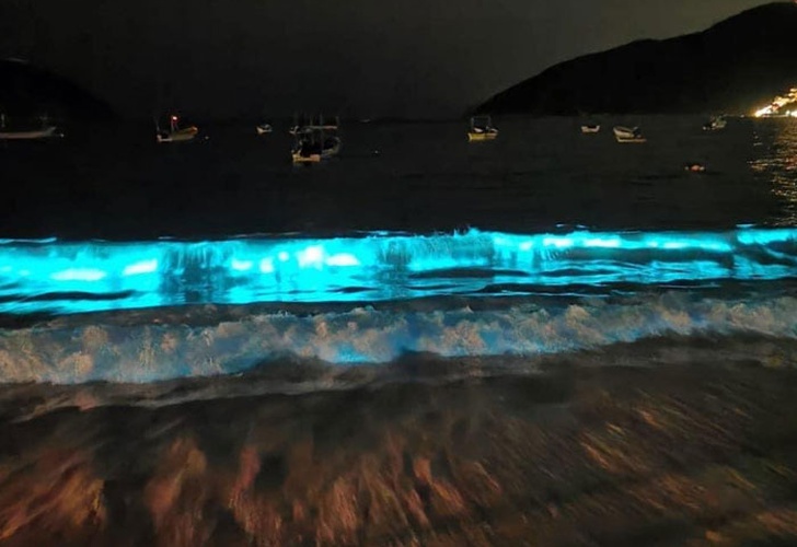 코로나 덕분에 60년만에 보는 진귀한 해변가 현상