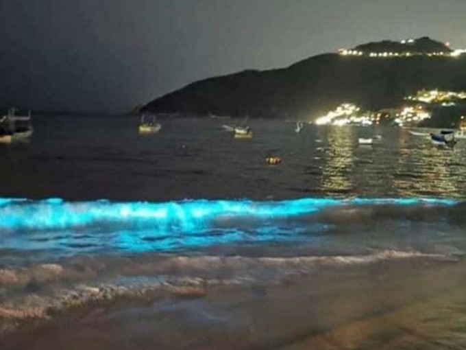 코로나 덕분에 60년만에 보는 진귀한 해변가 현상