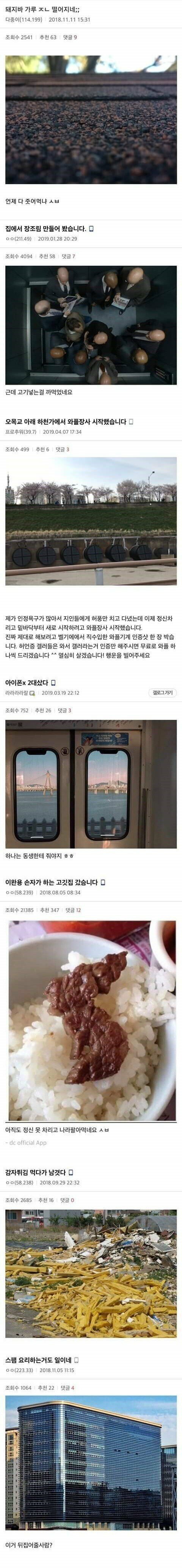 허언증 갤러리 근황