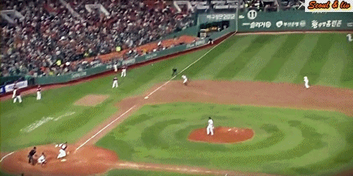 야구장 갑분싸레전드