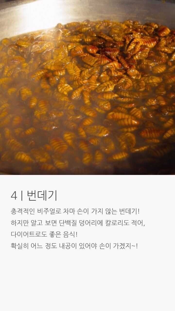 호불호 갈려서 잘 못먹는다는 음식 7
