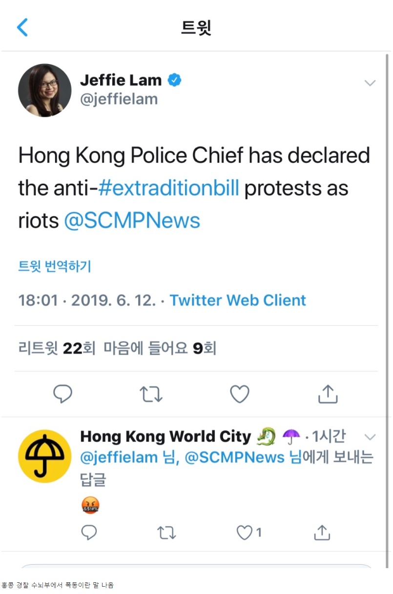 홍콩 민주화운동가 현재 정부가 우리를 폭도로 규정하고있다