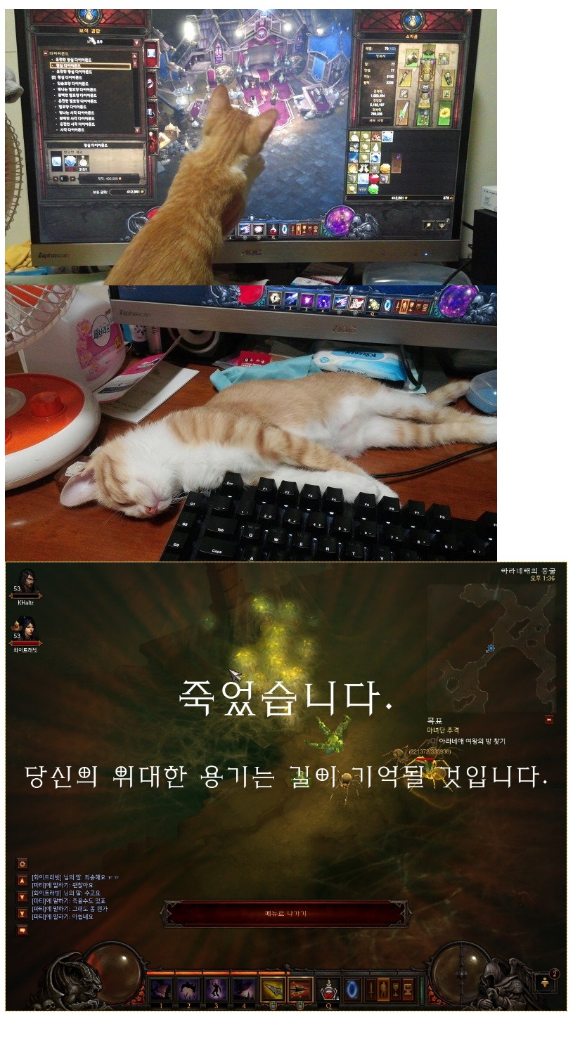 수면제효과 제대로임