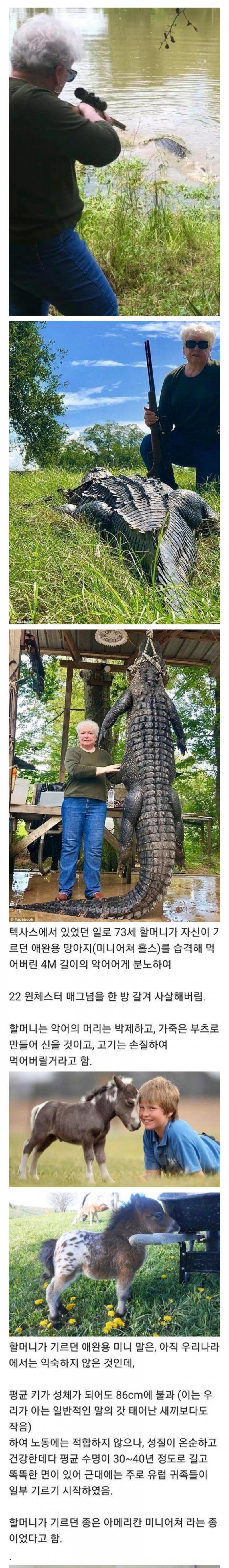 할머니를 빡치게하면..