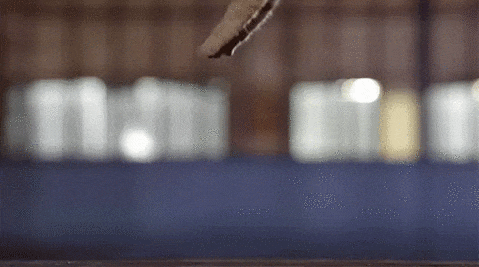 고양이 착지.. 슬로우 모션..