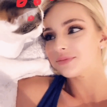 고양이와의 뽀뽀 이상과 현실.gif