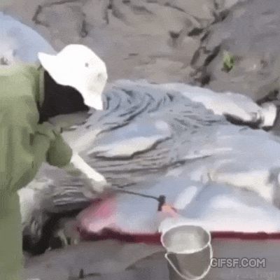 초큼 뜨거우니 불어가면서 드세요~