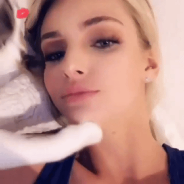 고양이와의 뽀뽀 이상과 현실.gif