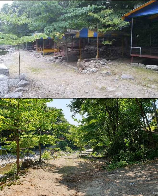 남양주 계곡 근황