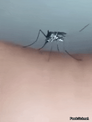 오빠 오늘 피곤해?