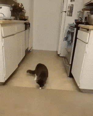 미치고 팔짝 뛰겠네 ㅅㅂ