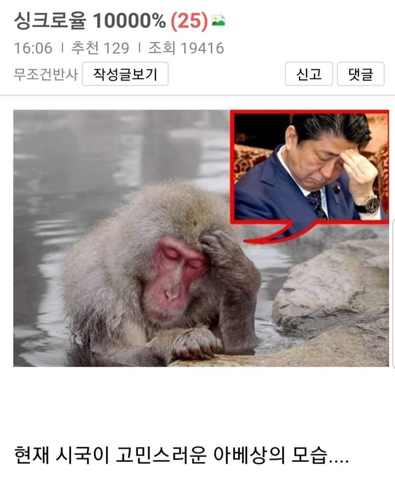 완벽한.. 싱크로율..