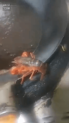 님아 그 강을 건너지마오~