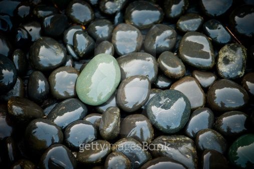 비에 젖은 리얼돌 개이쁘당~