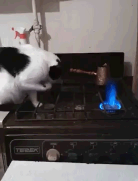 불맛 보려면 이렇게 하는건가?