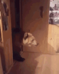 힘드냐?  힘내라