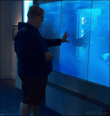 가상 아쿠아리움에 리얼함