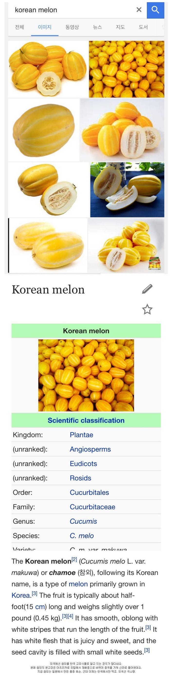 외국에서 한국 고유 과일로 착각하는것