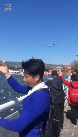 복수 성공!