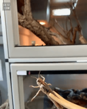 아... 조금 모자라네...