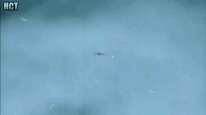 2차 대전 당시 실제 대공사격