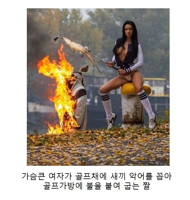 왜 생긴걸까 궁금해지는 짤