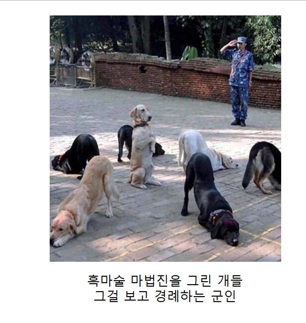 왜 생긴걸까 궁금해지는 짤