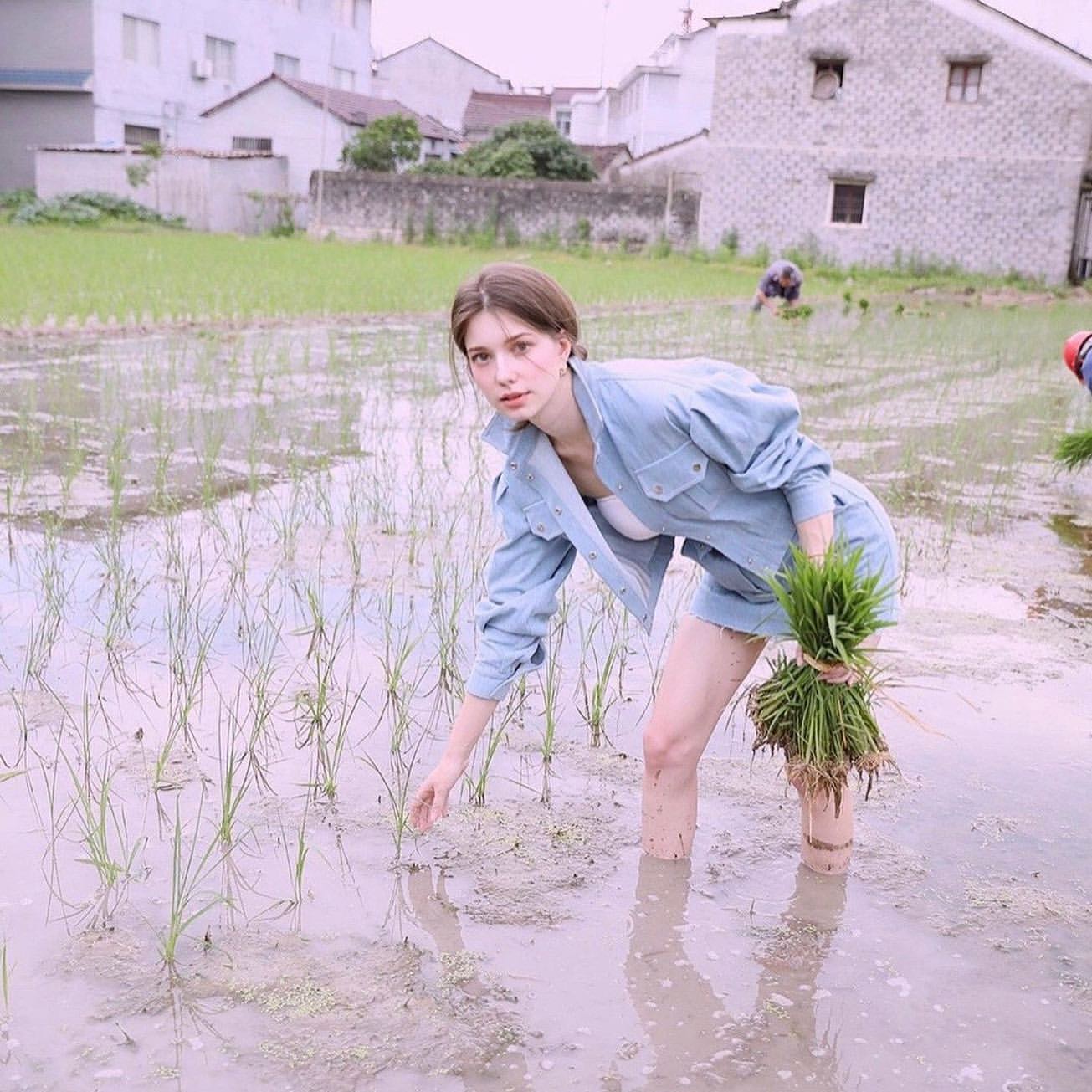 여기가 장모님의 나라입니까?