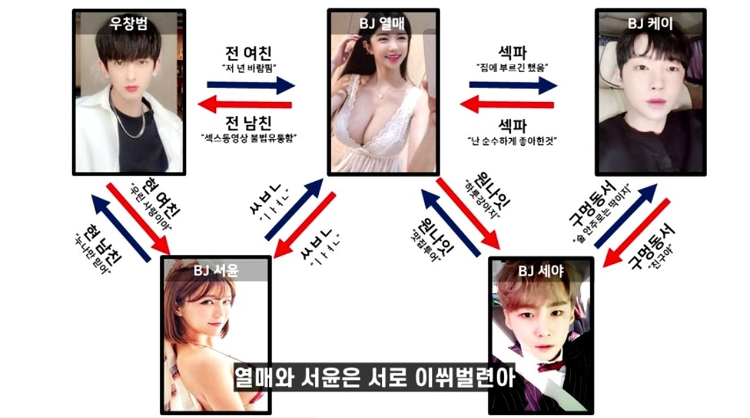 연예계보다 더 동물의 왕국 한방정리