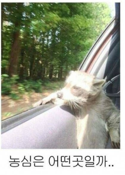 아저씨 롯데월드 가요?