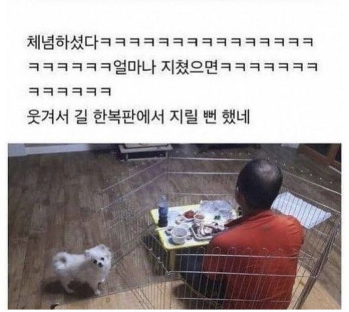 아버지의 강아지 처리법