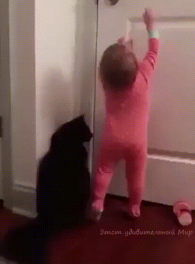 아기 돌보는 냥이들