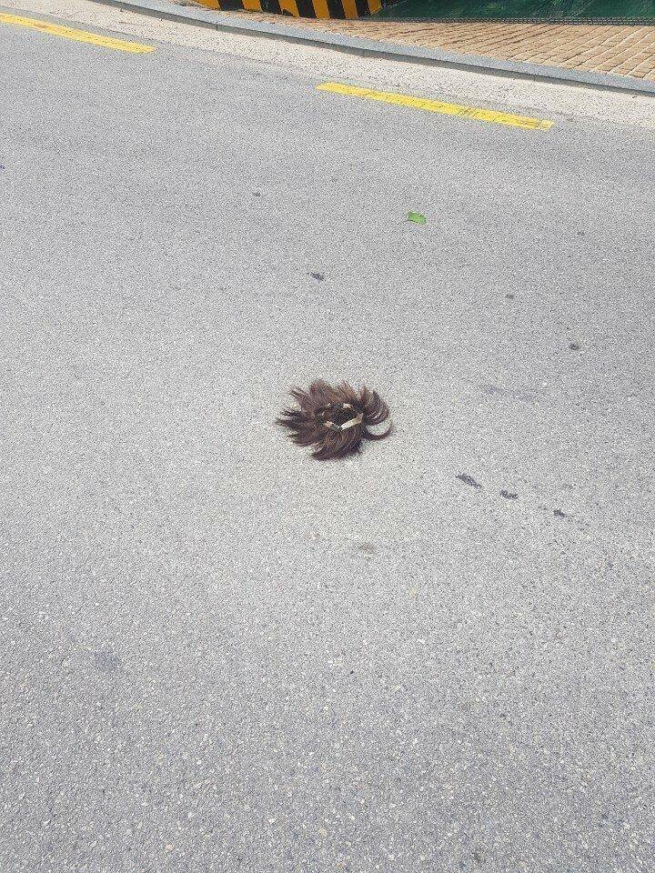 이번태풍 역대급 피해자