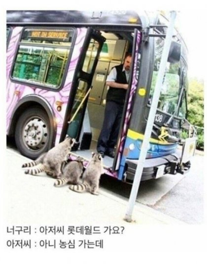 아저씨 롯데월드 가요?