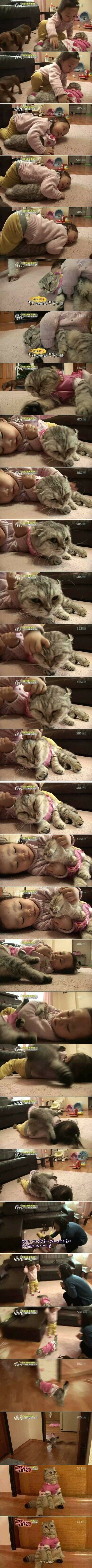 극한직업 고양이.jpg