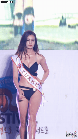 보령 머드 축제