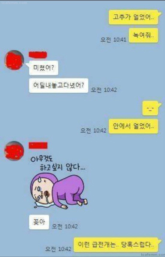 신혼부부의 카톡