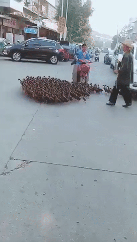 잠시 지나갈께요