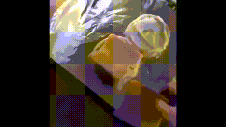 댕댕이와 냥이의 차이