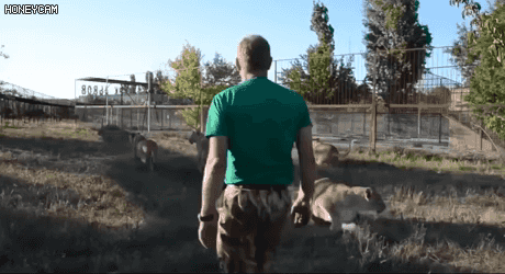 말썽피우지 마라 이녀석들아!