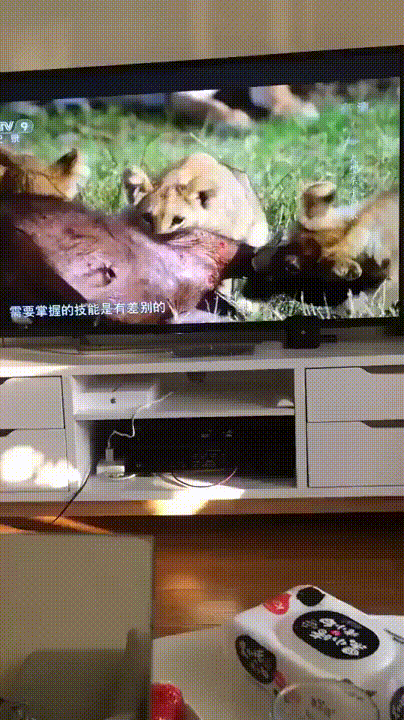 충격과 공포...
