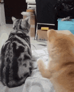 세상 억울하다...