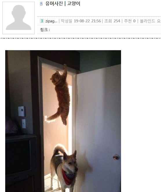 얼마나 버틸수 있으려나...