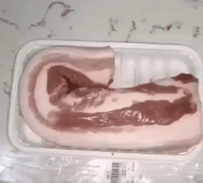 대륙의 돼지고기