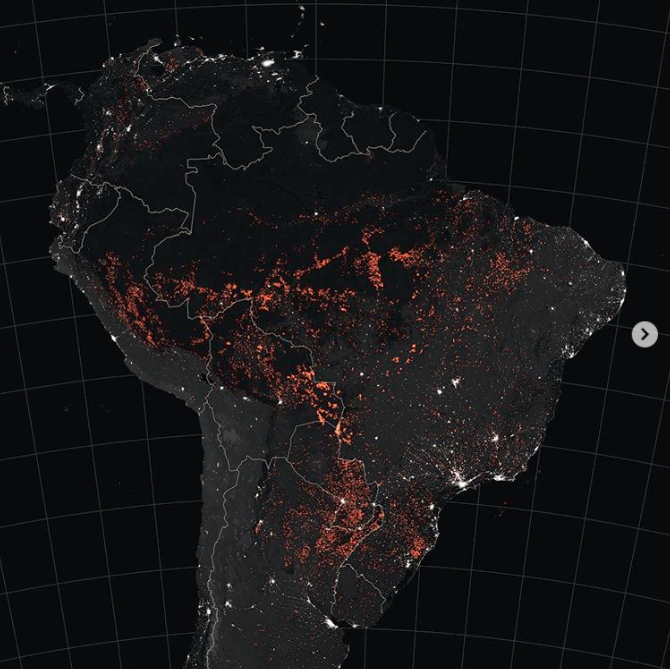 현재 지구 전체 나무 밀도 분포