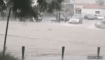 이 패기는 무엇???