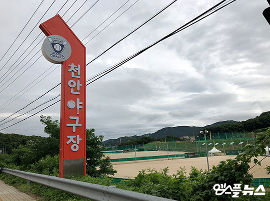 우리나라 780억짜리 야구장
