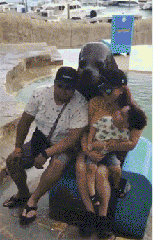 놀이동산 마스코트 알바 만렙