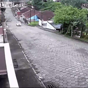 가스통 굴러가요 ~